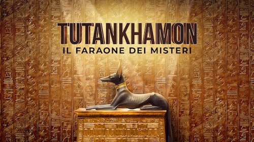 King Tut: A Century of Secrets poster — movie on Max