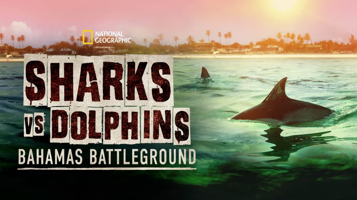 Sharks vs. Dolphins: Bahamas Battleground poster — movie on Disney+