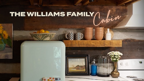 The Williams Family Cabin poster — TV series on Max