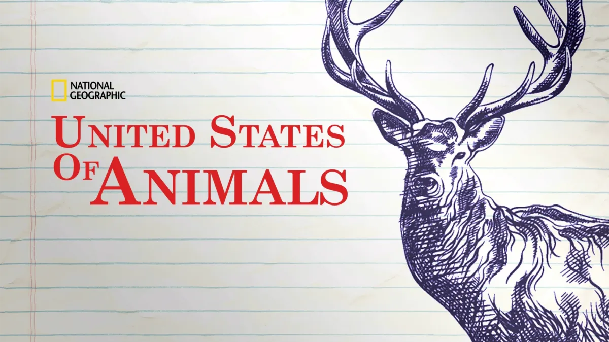 United States of Animals poster — TV series on Disney+