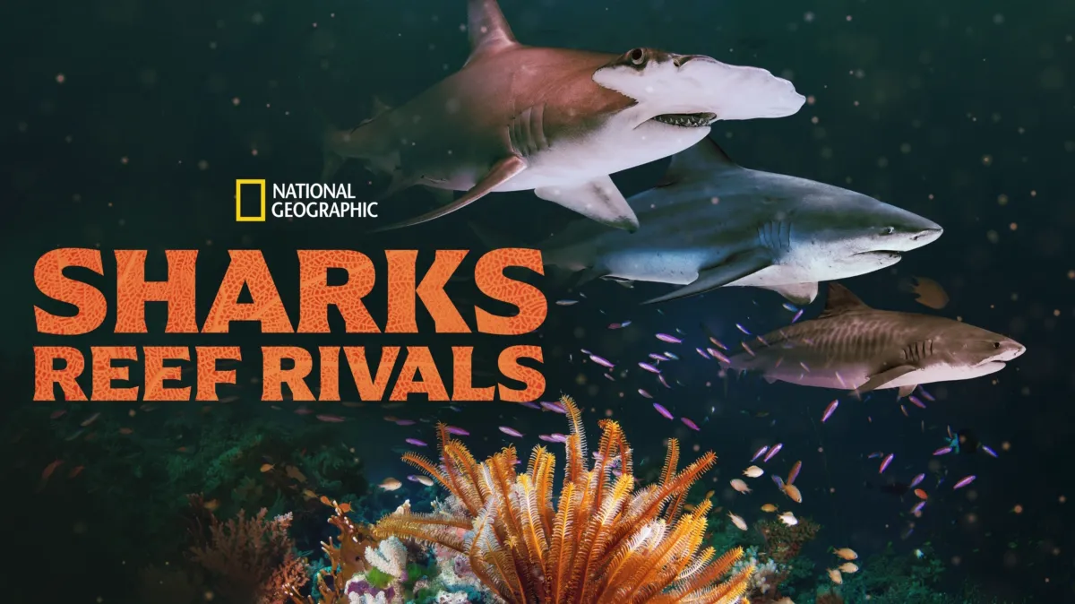 Sharks: Reef Rivals poster — movie on Disney+