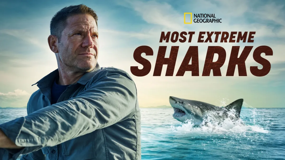 Most Extreme Sharks poster — TV series on Disney+