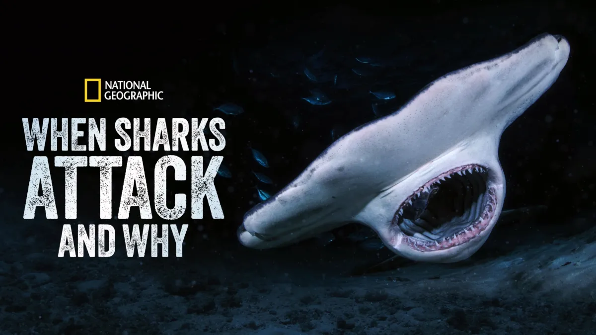 When Sharks Attack... And Why poster — TV series on Disney+