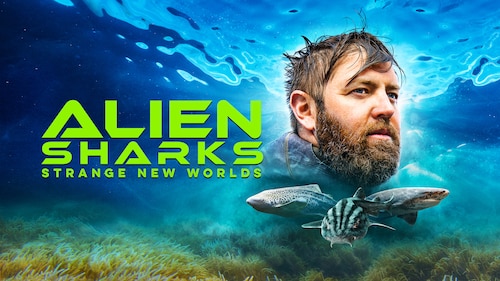 Alien Sharks: Strange New Worlds poster — movie on Max