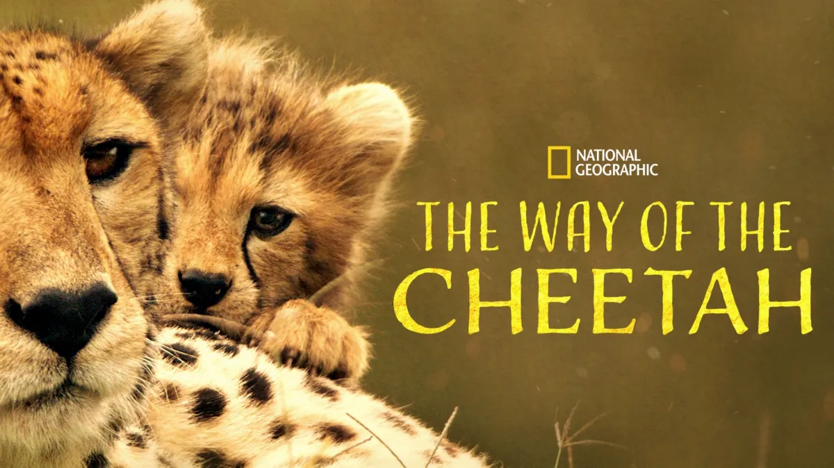 The Way of the Cheetah poster — movie on Disney+