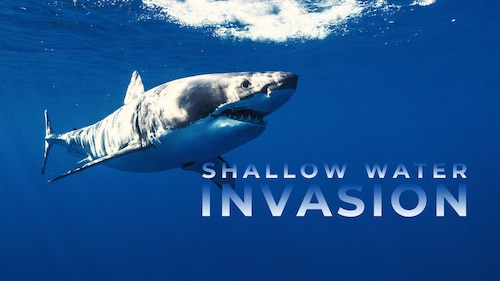 Shallow Water Invasion poster — movie on Max