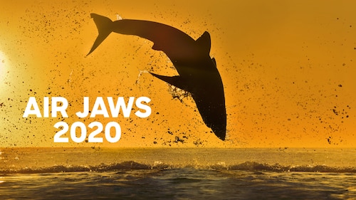 Air Jaws 2020 poster — movie on Max