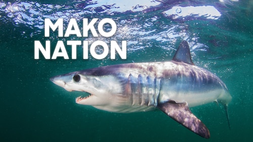 Mako Nation poster — movie on Max