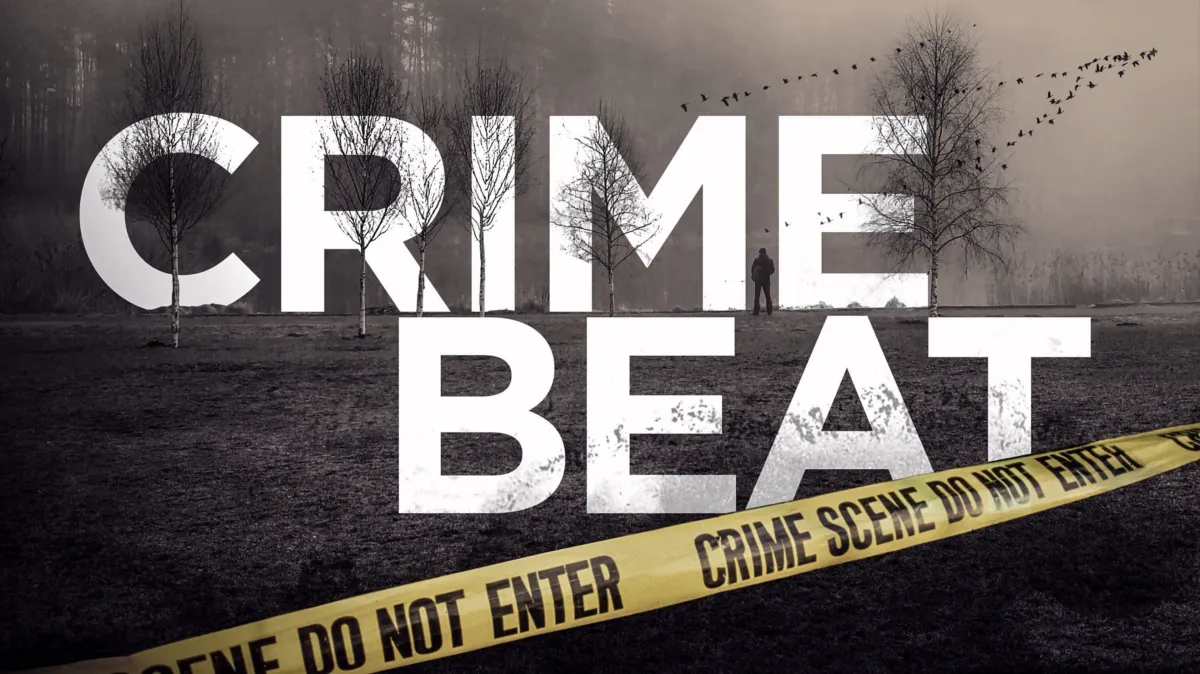 Crime Beat poster — TV series on Disney+
