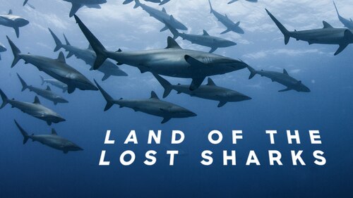 Extinct or Alive: Land of the Lost Sharks poster — movie on Max