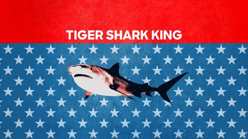 Tiger Shark King poster — movie on Max