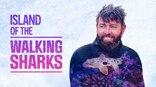 Island of the Walking Sharks poster — movie on Max