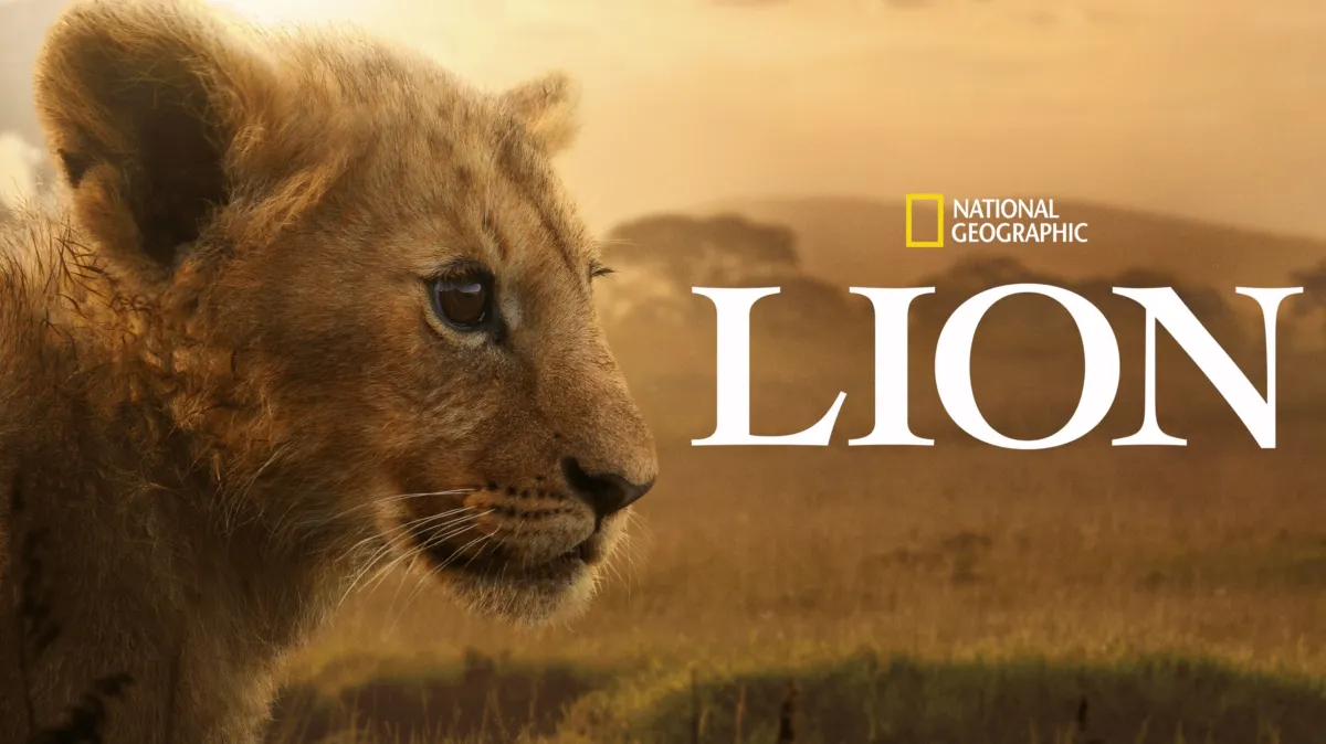 Lion poster — TV series on Disney+