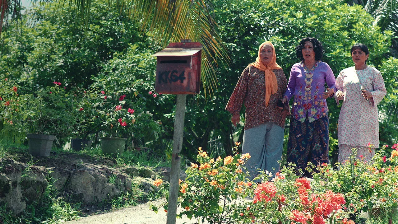 Three Widows Against The World