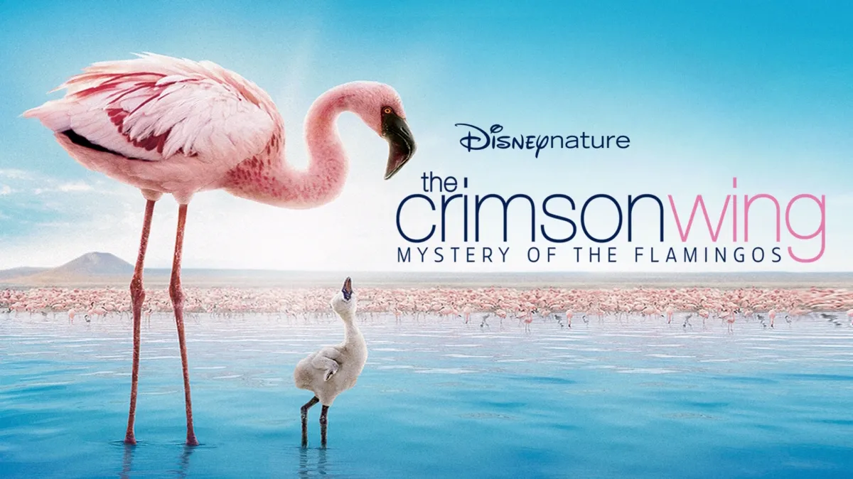 Crimson Wing poster — movie on Disney+