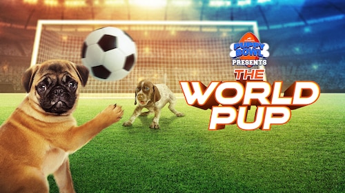 Puppy Bowl Presents: The World Pup poster — movie on Max