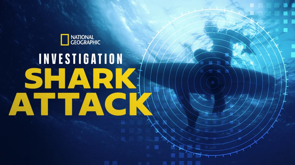 Investigation Shark Attack poster — TV series on Disney+
