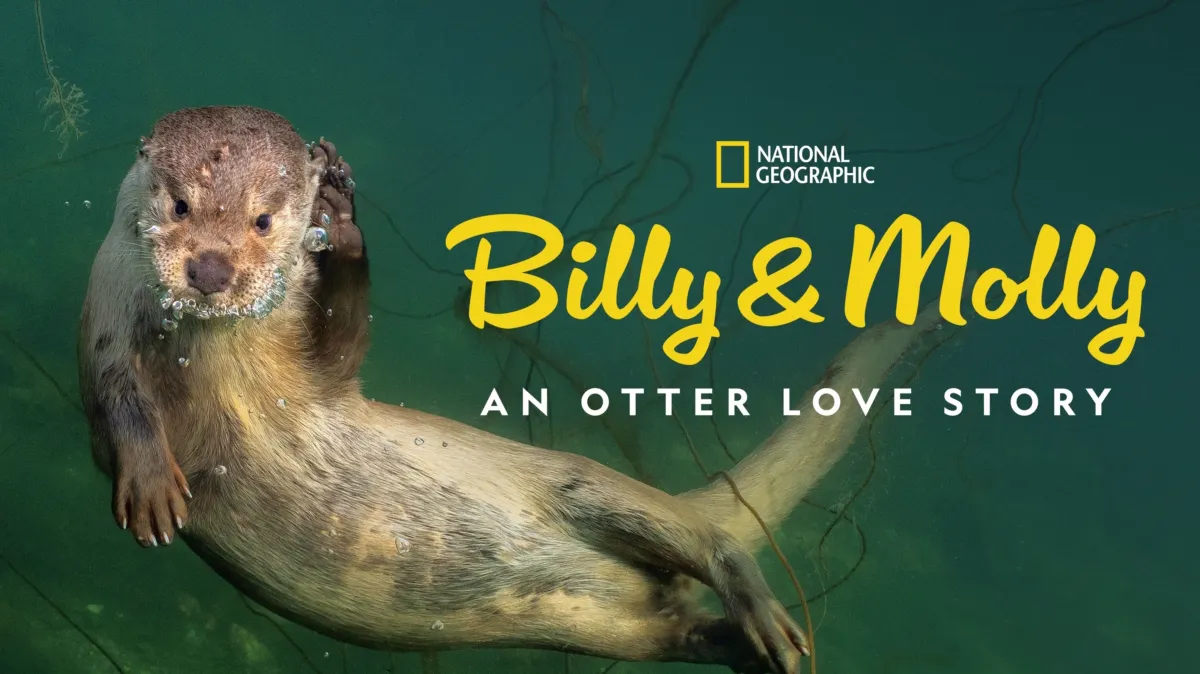 Billy & Molly: An Otter Love Story poster — movie on Disney+