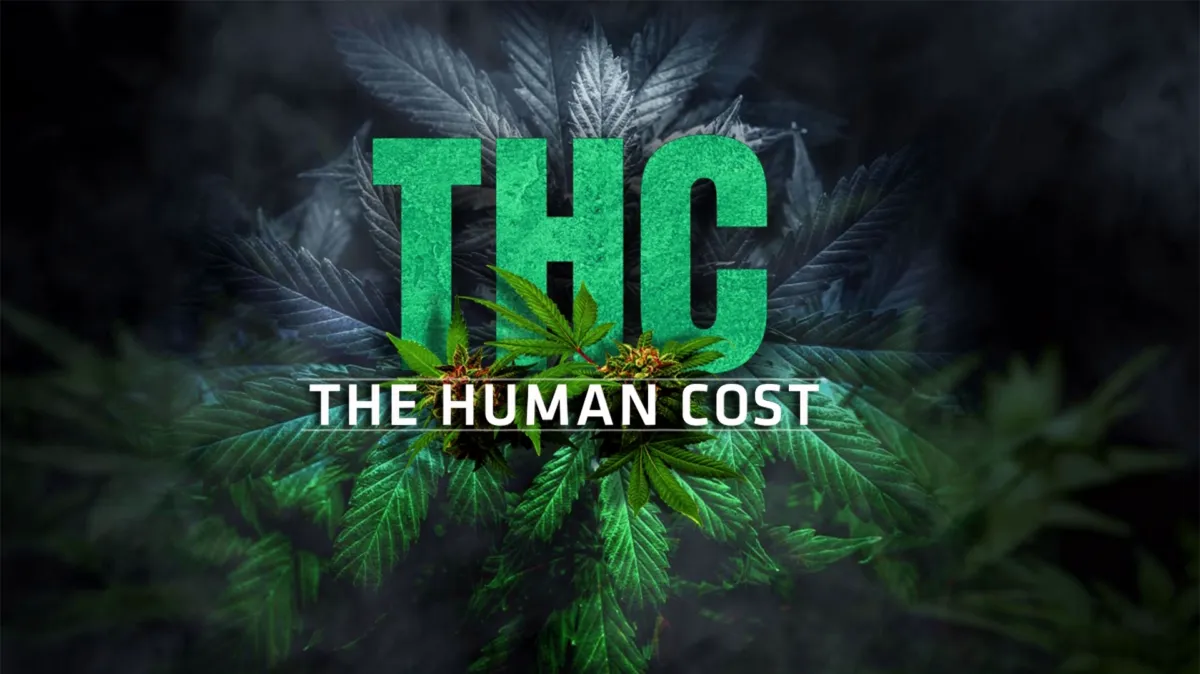 THC: The Human Cost poster — TV series on Disney+