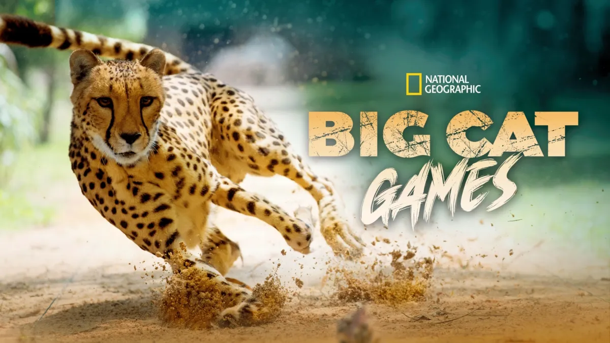 Big Cat Games poster — movie on Disney+
