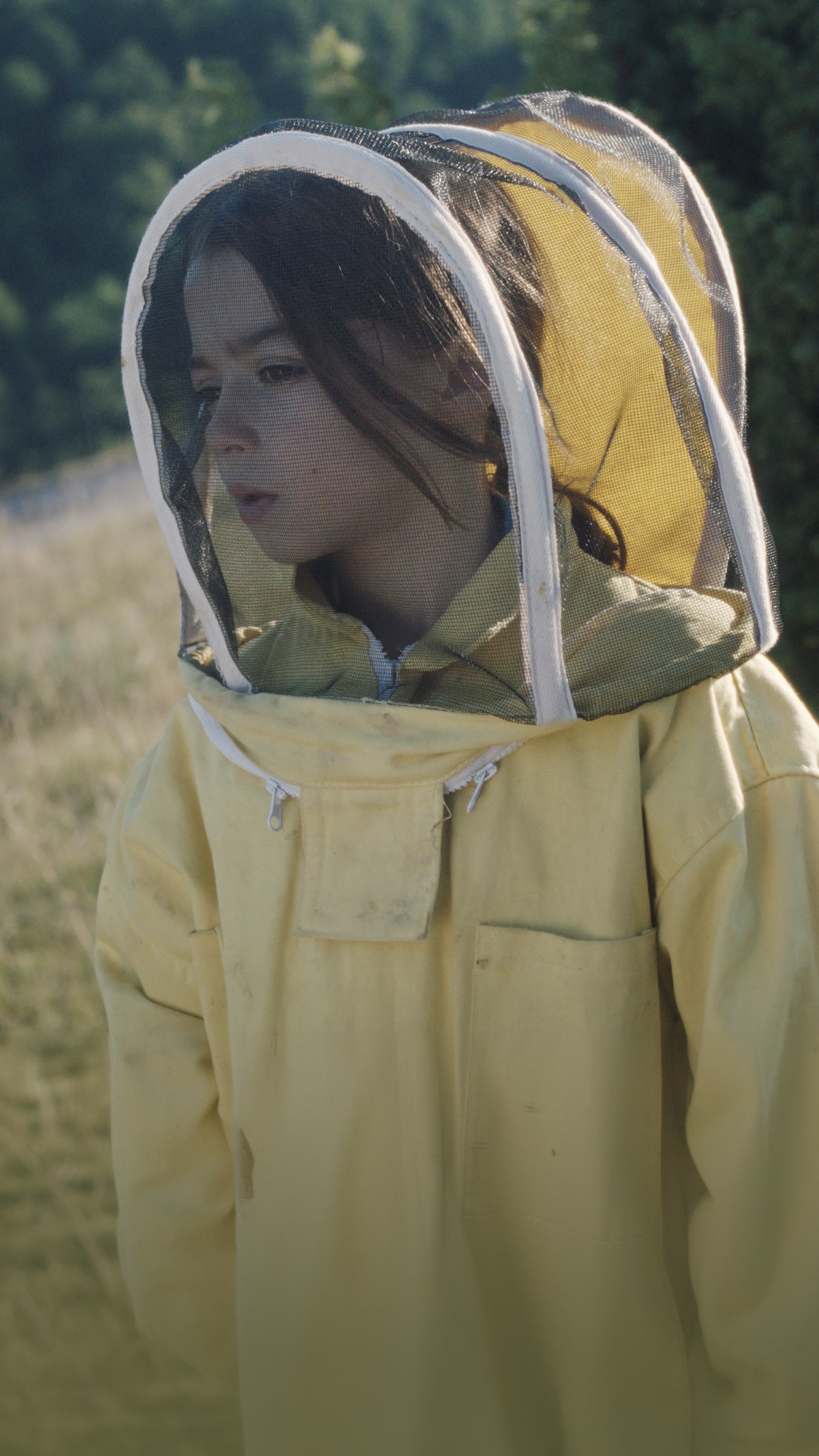 20,000 Species of Bees poster — movie on Apple TV+