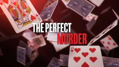 The Perfect Murder poster — TV series on Max