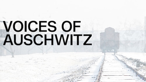 CNN Special Report: Voices of Auschwitz poster — movie on Max