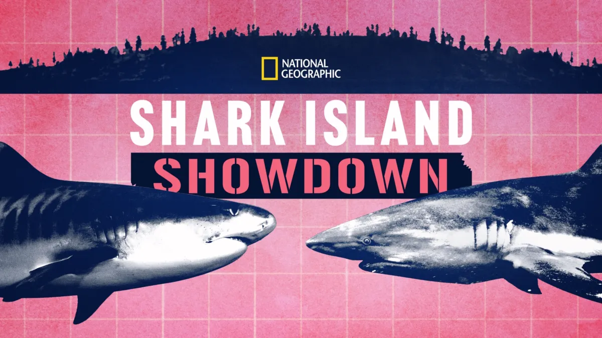 Shark Island Showdown poster — movie on Disney+