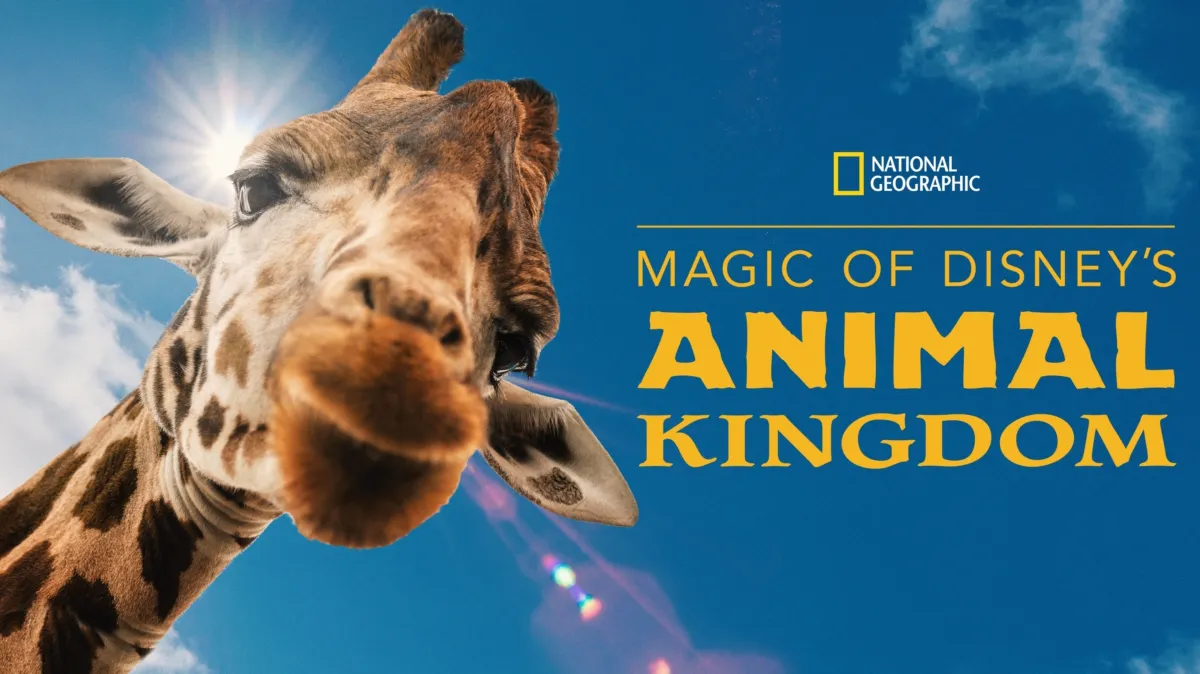 Magic of Disney's Animal Kingdom poster — TV series on Disney+