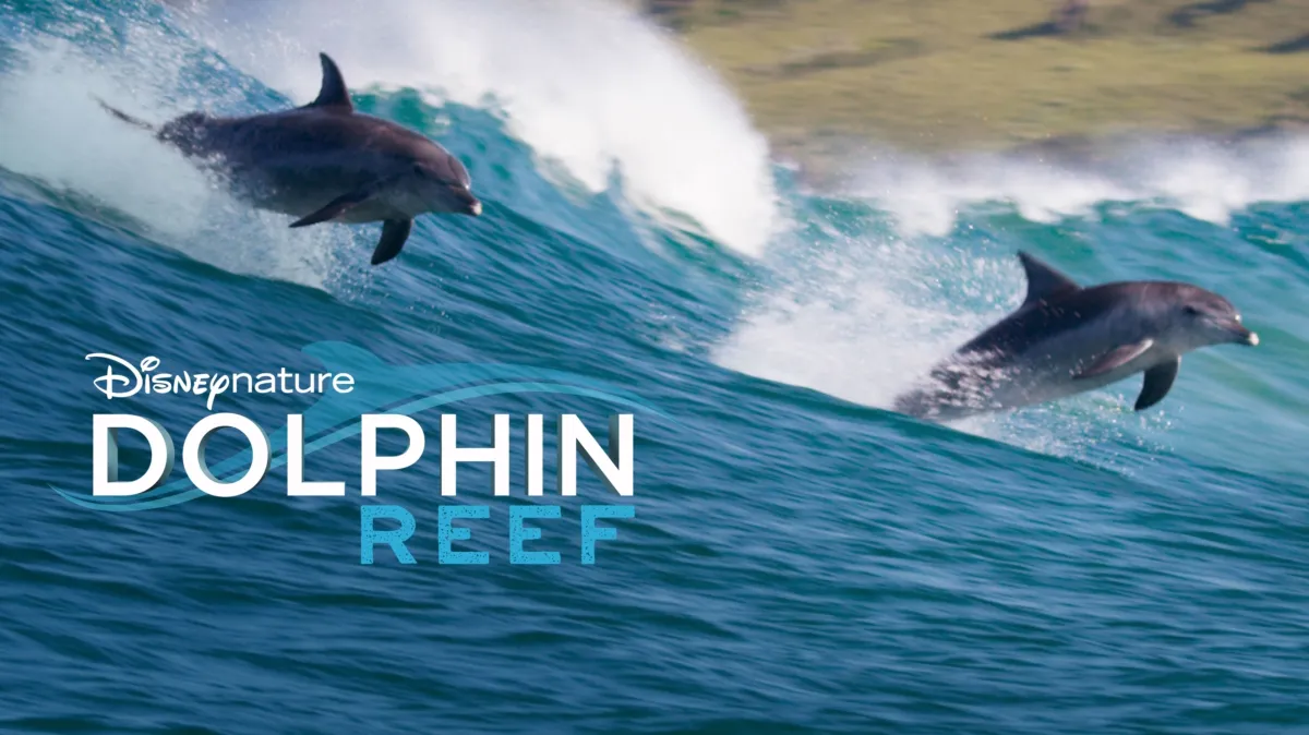 Dolphin Reef poster — movie on Disney+