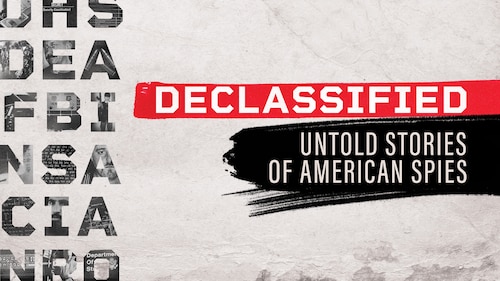 Declassified poster — TV series on Max