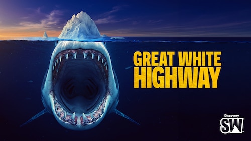Great White Highway poster — movie on Max