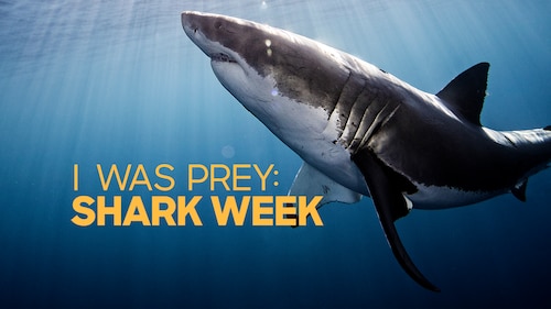 I Was Prey: Shark Week poster — movie on Max