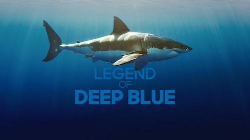 Legend of Deep Blue poster — movie on Max