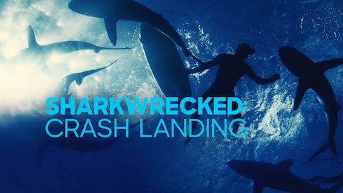 Sharkwrecked: Crash Landing poster — movie on Max
