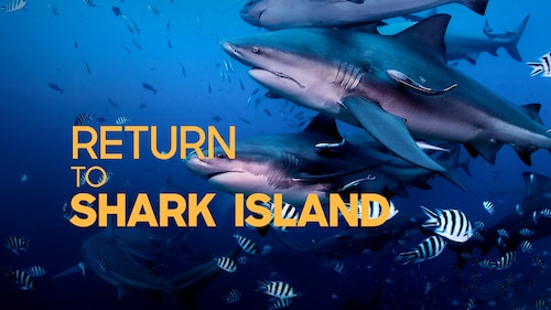 Return to Shark Island poster — movie on Max