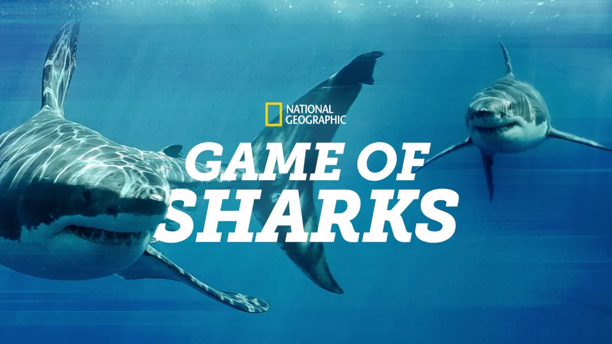 Game of Sharks poster — movie on Disney+