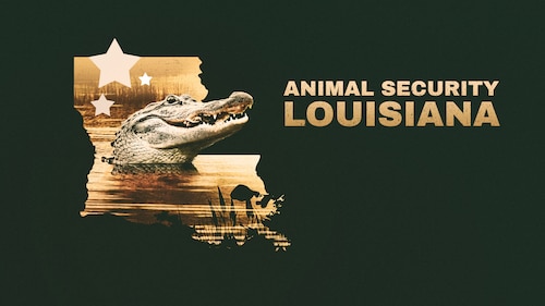 Louisiana Law poster — TV series on Max