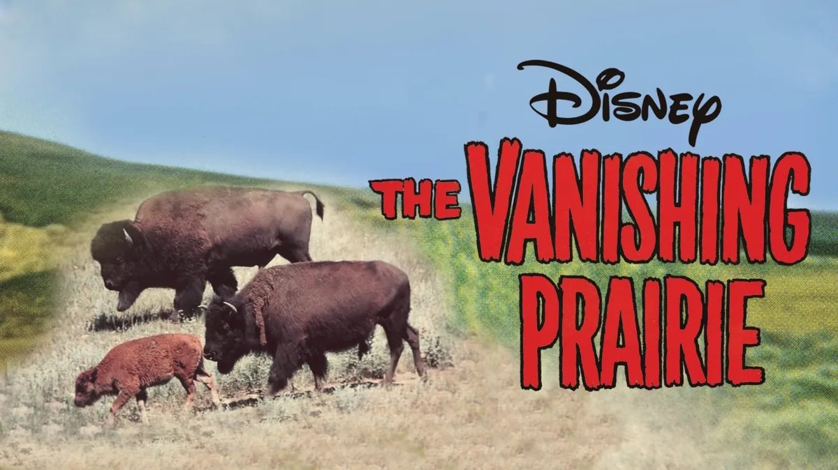 The Vanishing Prairie poster — movie on Disney+