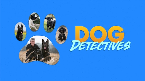 Dog Detectives poster — TV series on Max