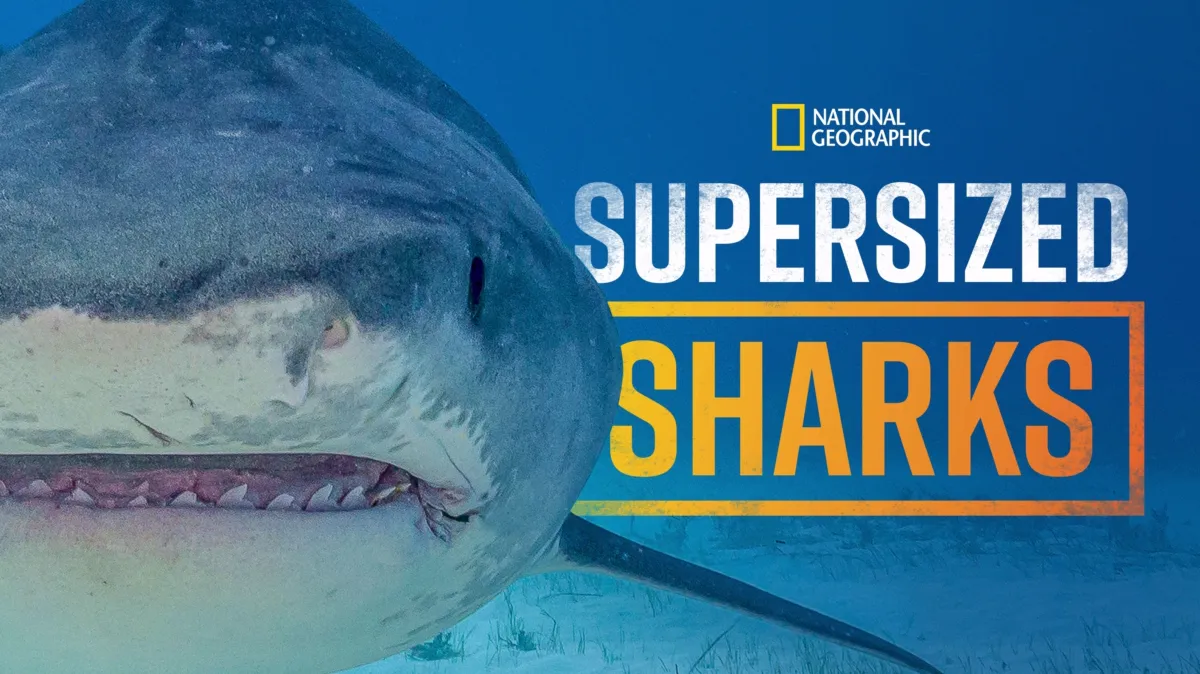 Supersized Sharks poster — movie on Disney+