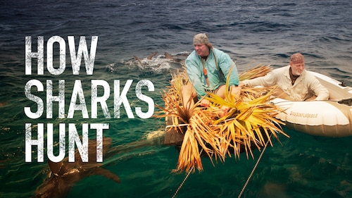 How Sharks Hunt poster — movie on Max