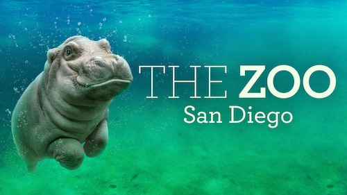 The Zoo: San Diego poster — TV series on Max