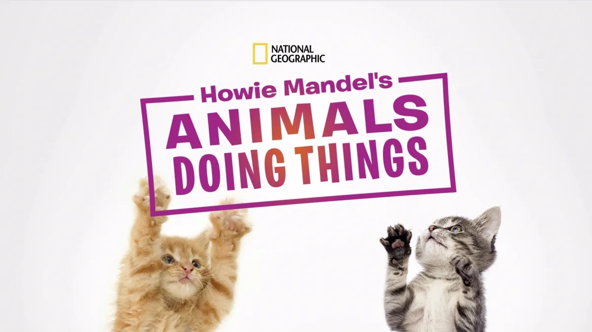 Howie Mandel's Animals Doing Things poster — TV series on Disney+