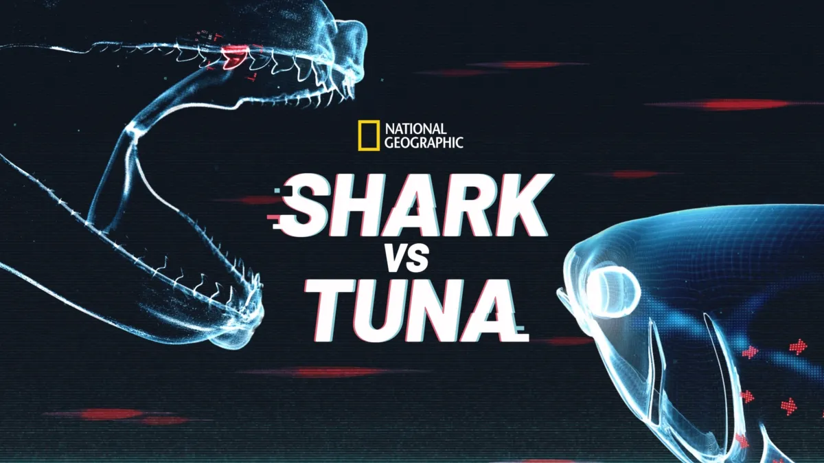 Shark Vs. Tuna poster — movie on Disney+