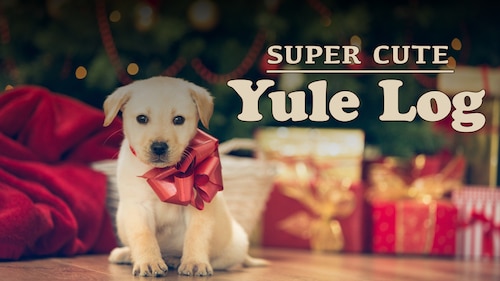 Super Cute Yule Log poster — movie on Max