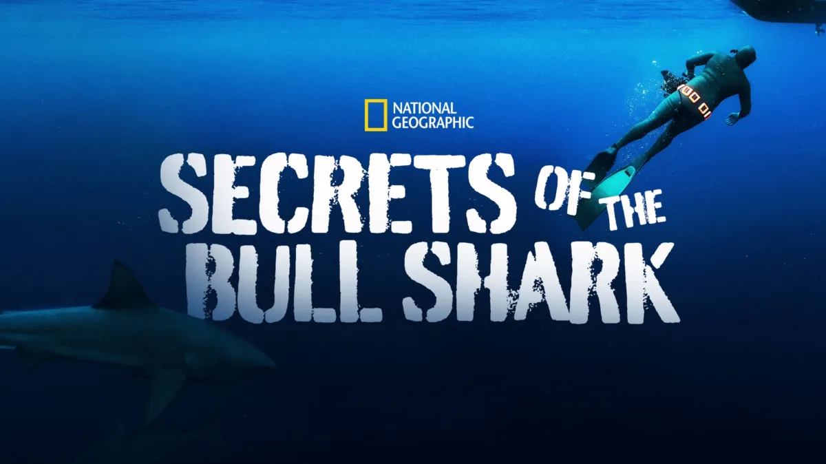 Secrets of the Bull Shark poster — movie on Disney+