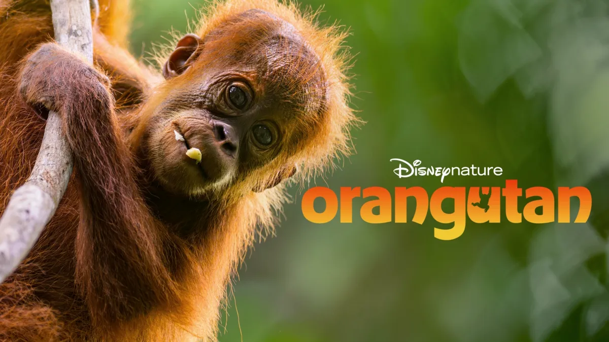 Orangutan poster — movie on Disney+