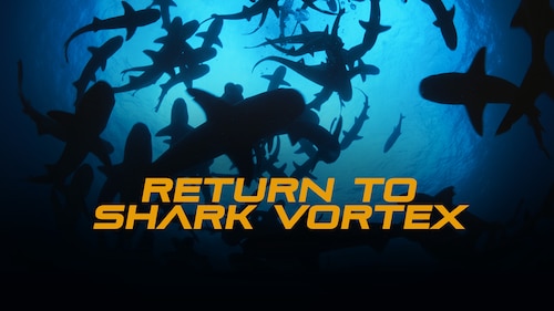 Return to Shark Vortex poster — movie on Max