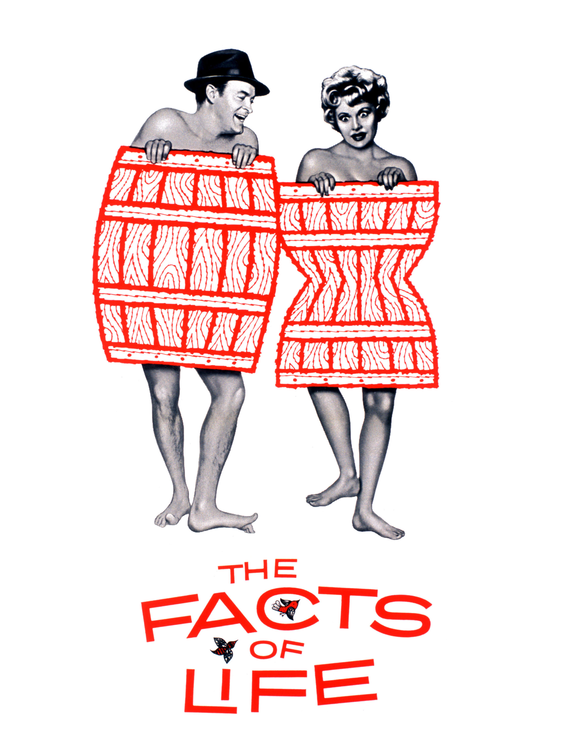 The Facts Of Life poster — movie on Prime Video